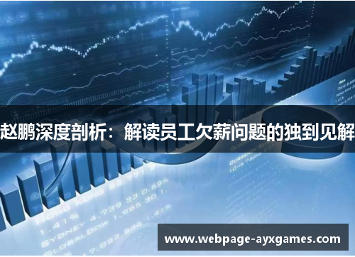 赵鹏深度剖析：解读员工欠薪问题的独到见解