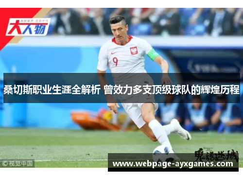 桑切斯职业生涯全解析 曾效力多支顶级球队的辉煌历程