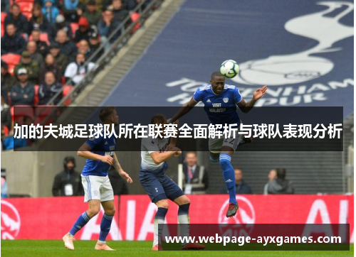 加的夫城足球队所在联赛全面解析与球队表现分析